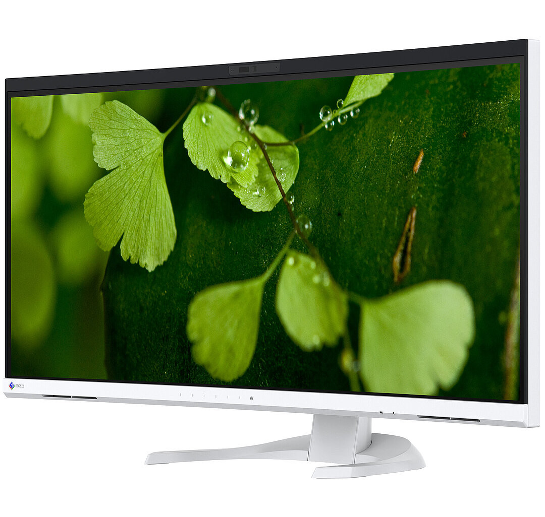 EIZO EV3450XC