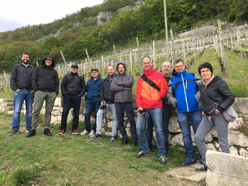 Das Topix-Team im Weinberg zu Twann