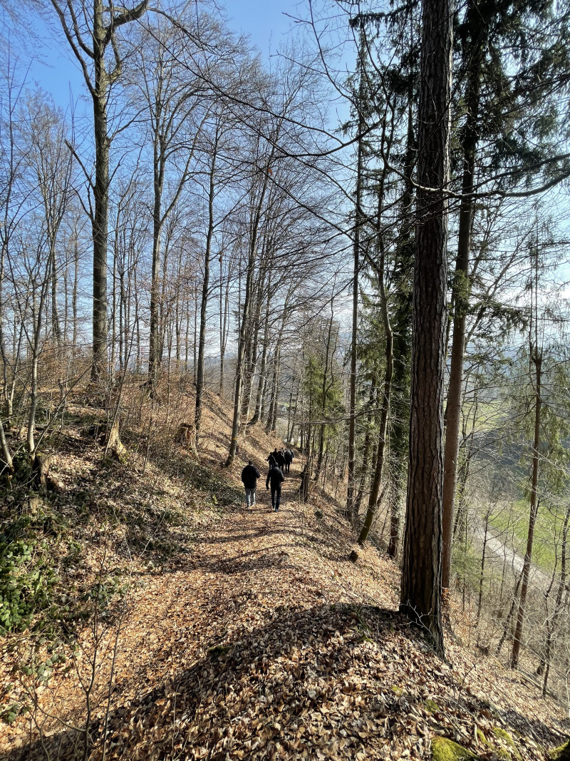 Ab durch den Wald