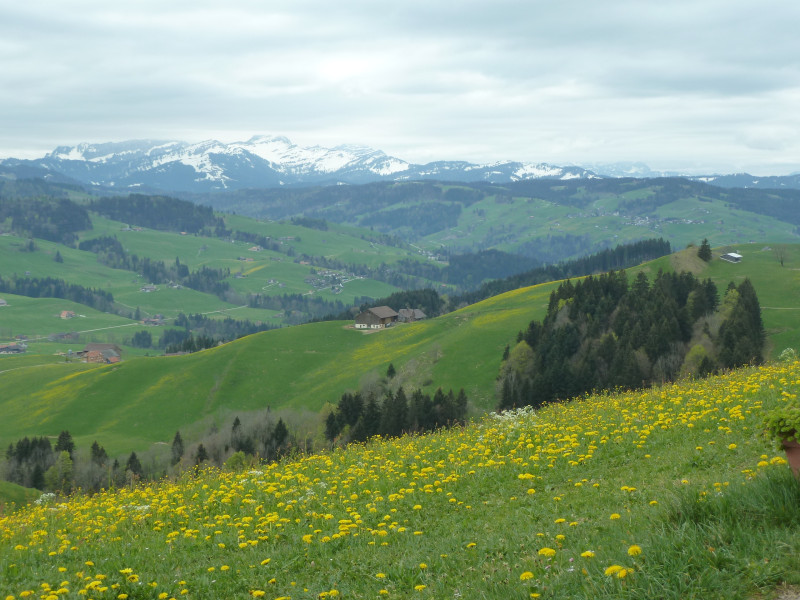 Appenzellerland