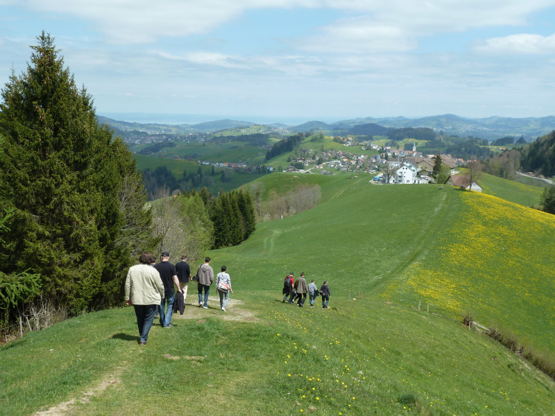 Toggenburg