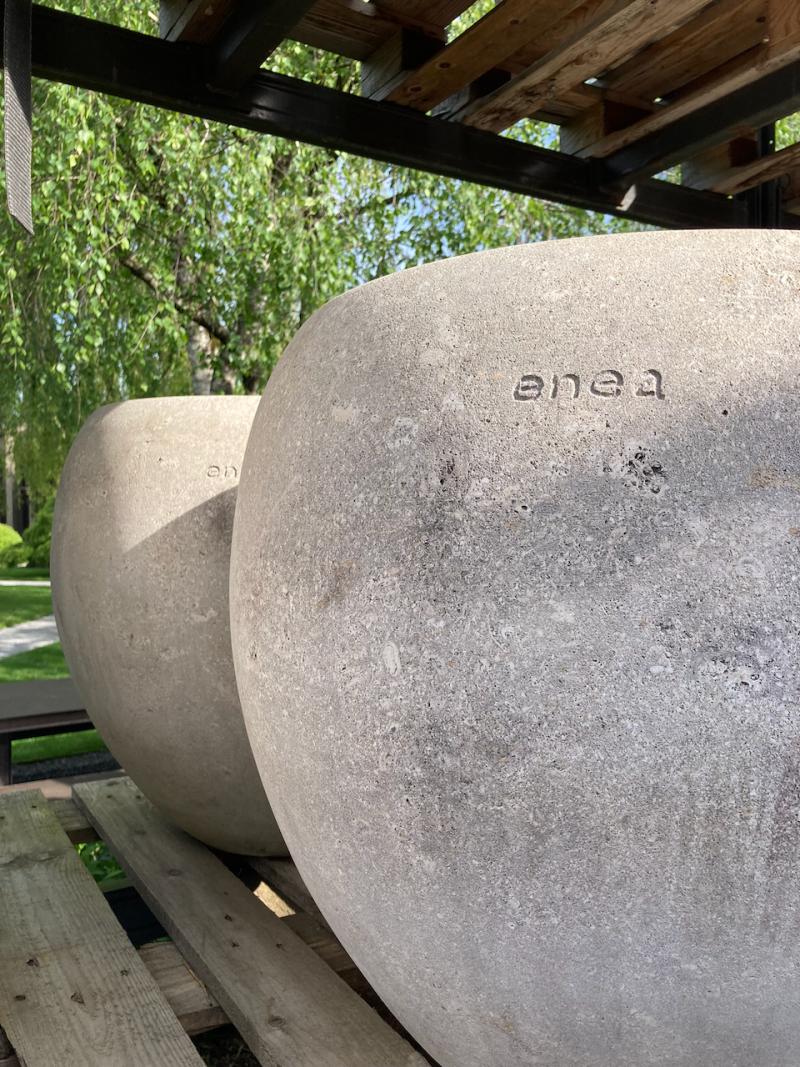 enea
