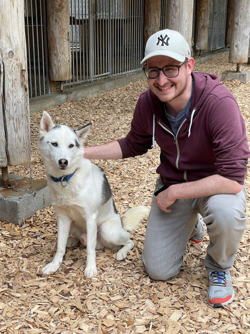 bei den Huskies