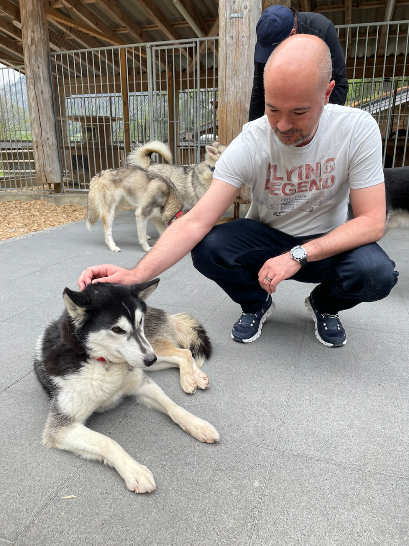 bei den Huskies