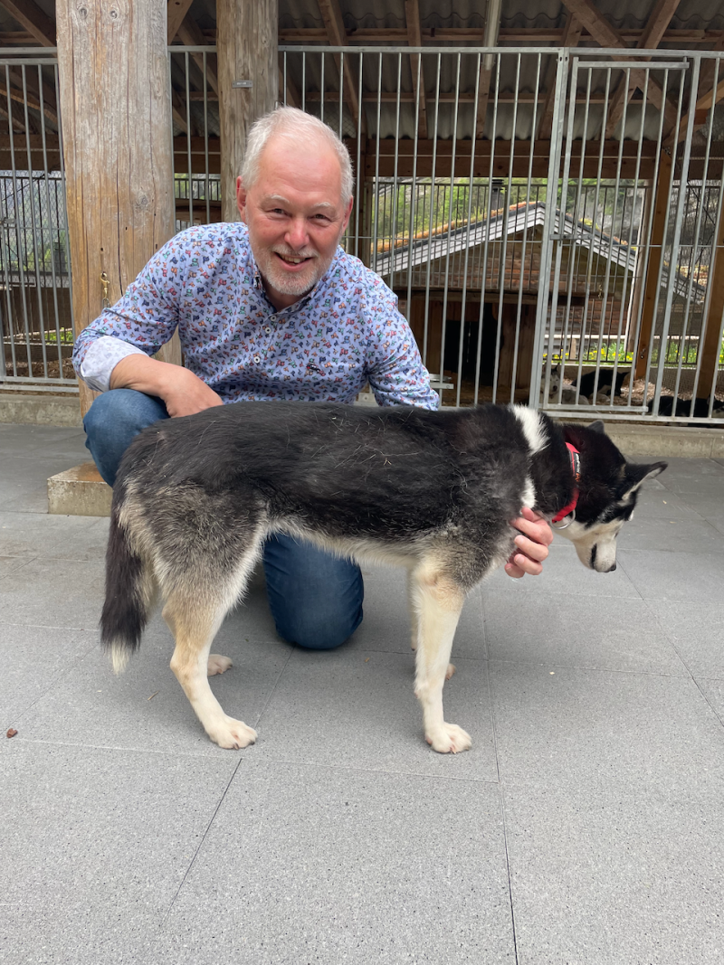 bei den Huskies