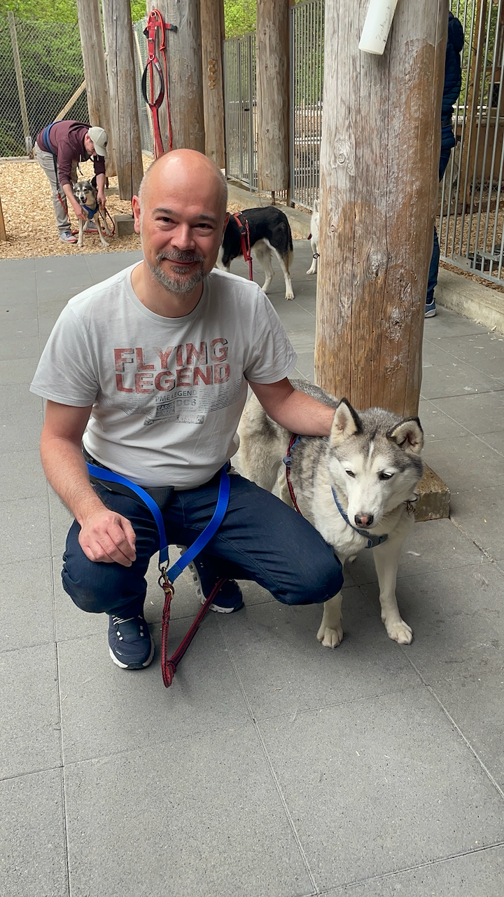bei den Huskies