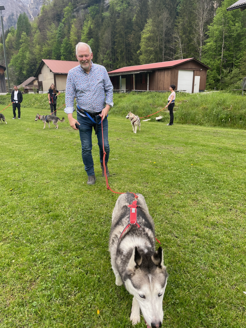 bei den Huskies