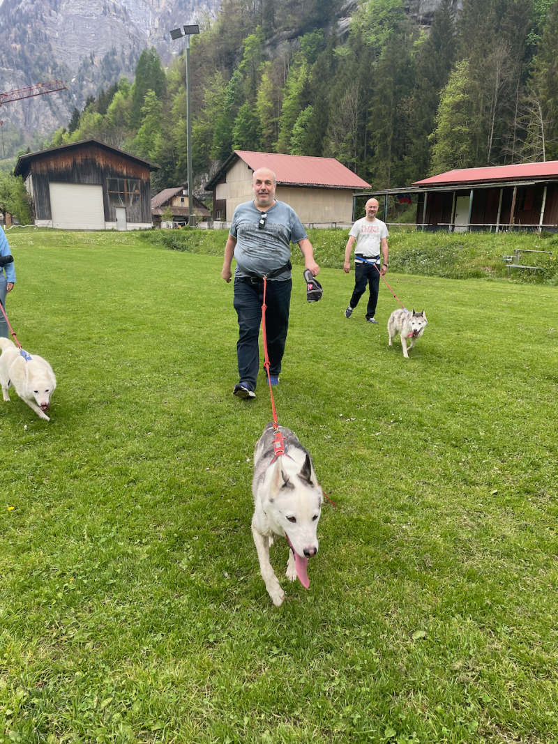 bei den Huskies