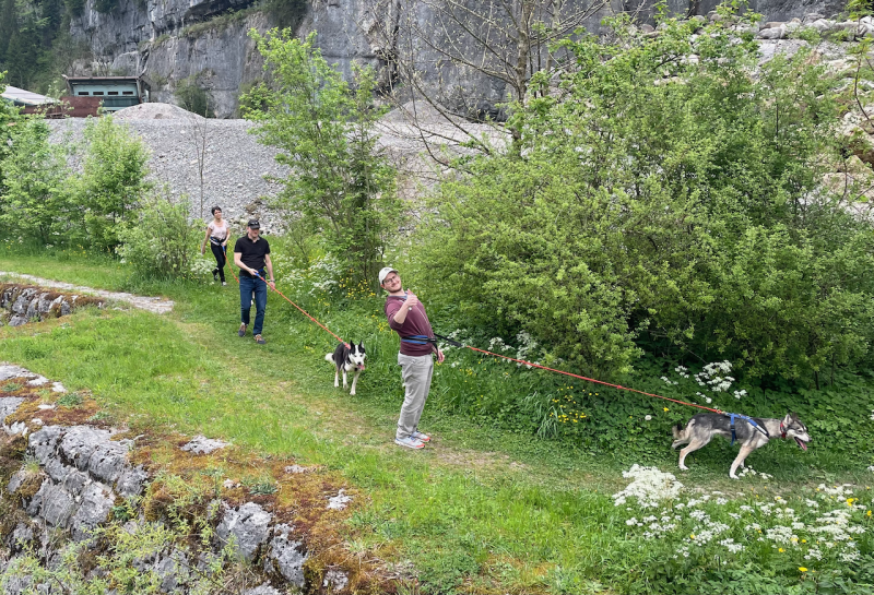 bei den Huskies