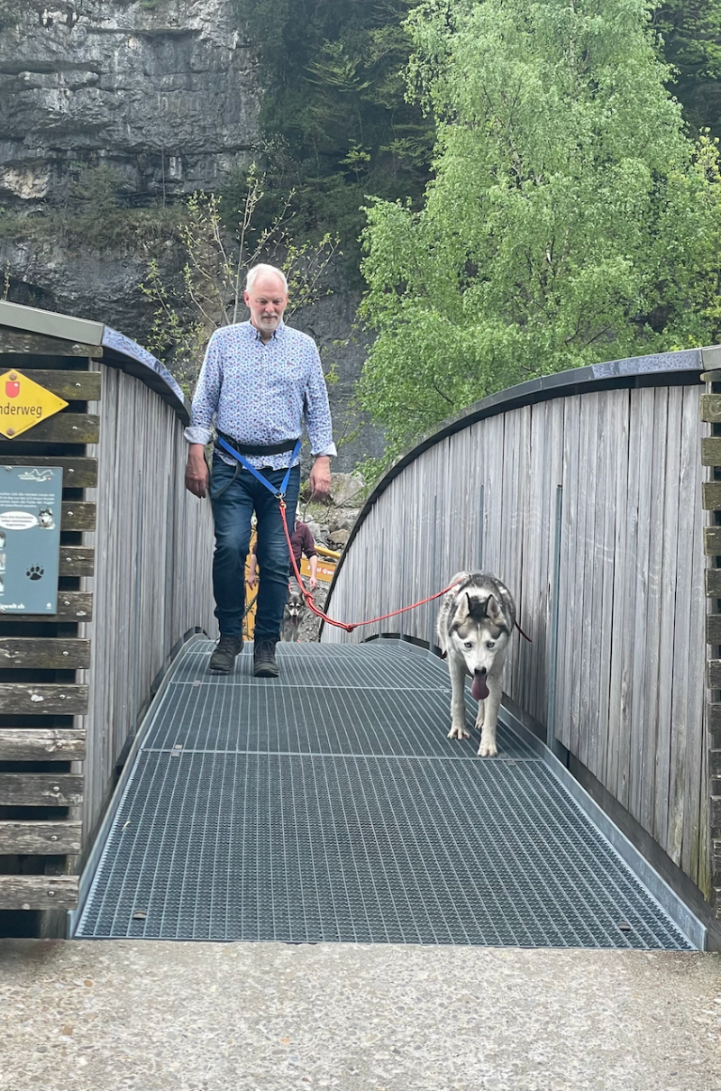 bei den Huskies