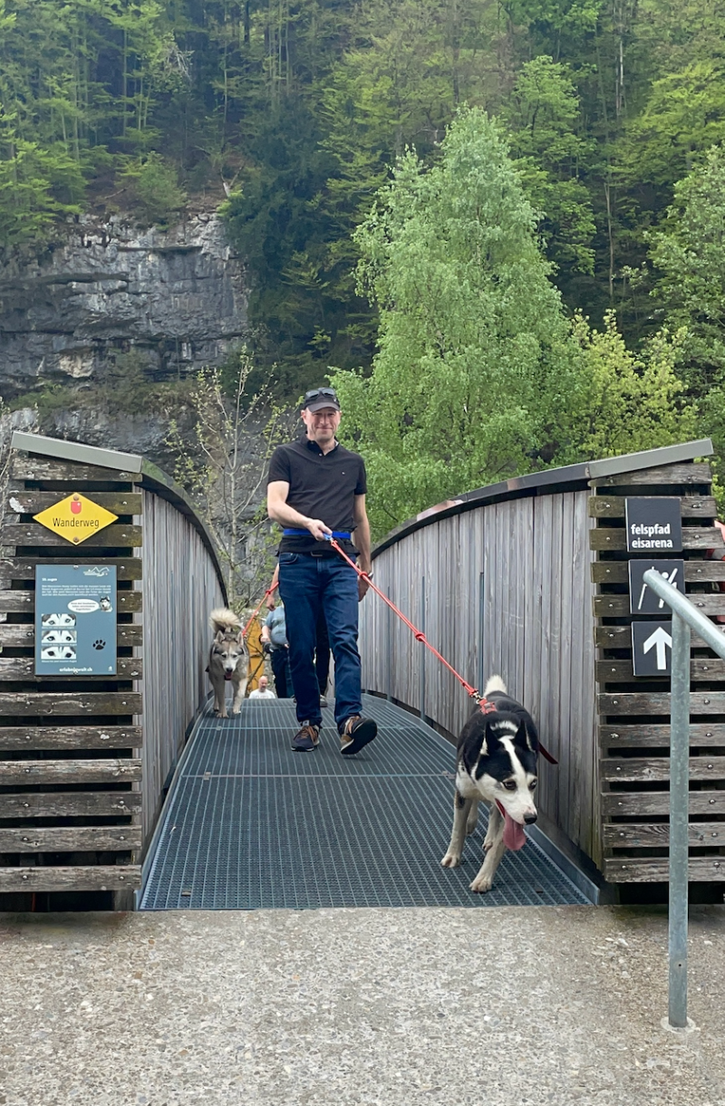 bei den Huskies