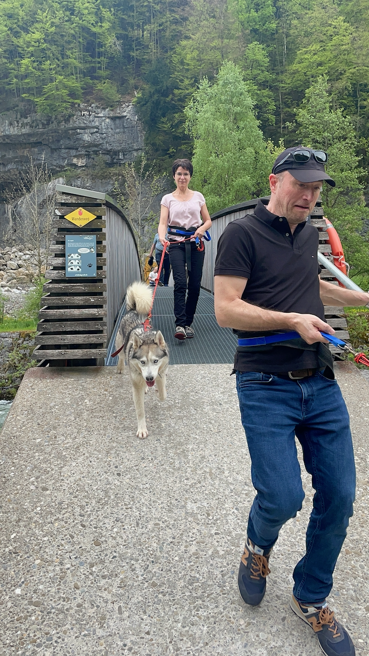bei den Huskies