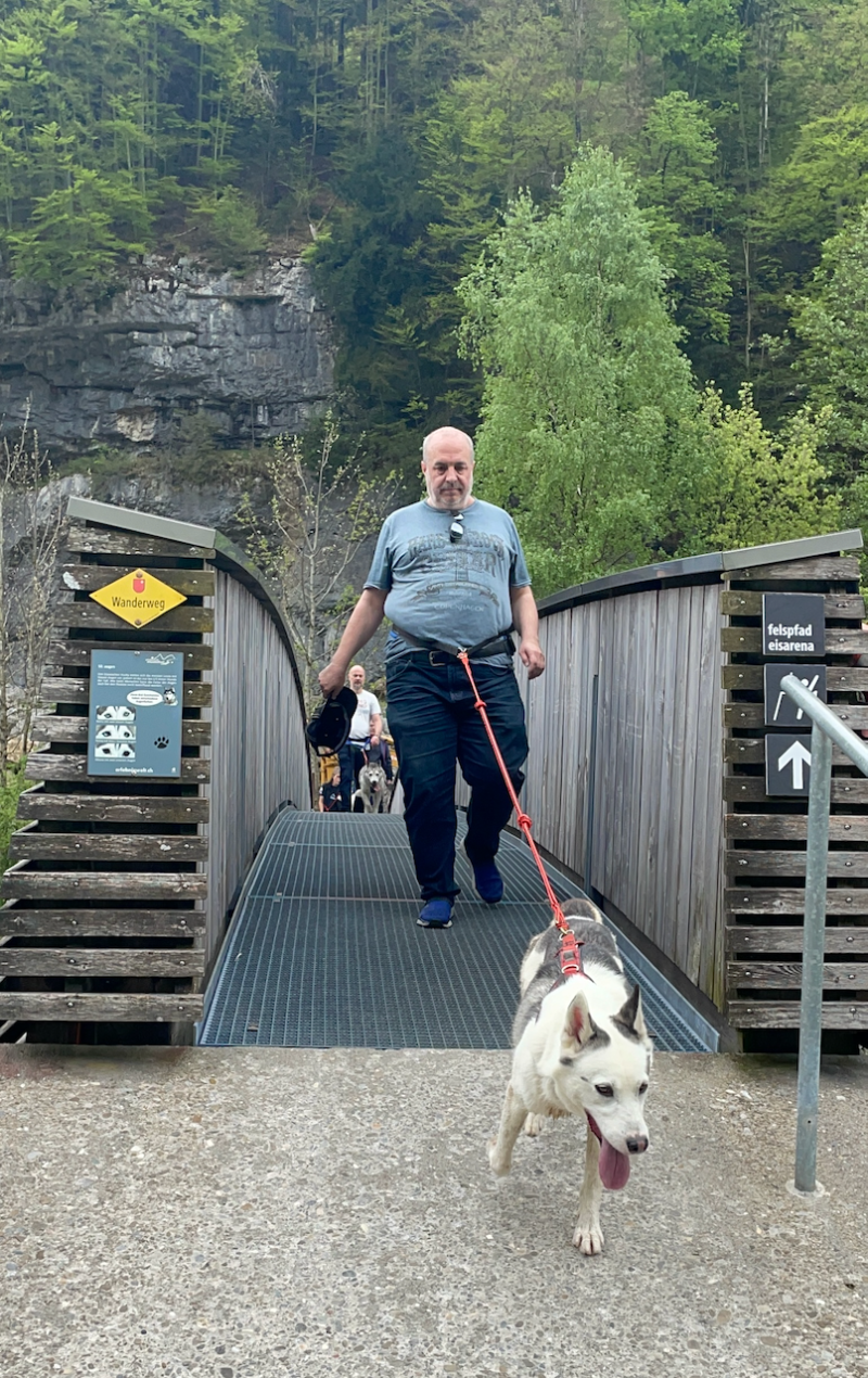 bei den Huskies