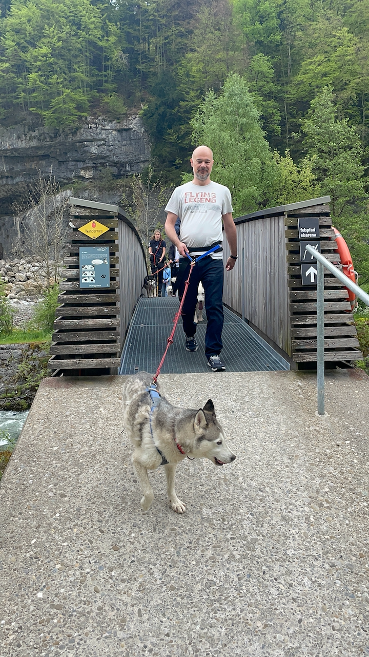 bei den Huskies